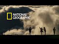 Bonobos Hunt Down Colobus Monkeys | Queens | National Geographic