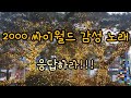 [playlist] 20000 싸이월드 감성노래