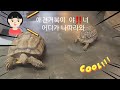 애니멀 빌리지 가볼만해요 #동물농장 #애견카페#애완동물#강아지 #강아지브이로그