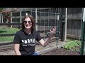 Build This Easy Cow Panel Trellis (Grow More Melons in Less Space! )