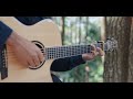 radio - Lana Del Rey | fingerstyle guitar cover