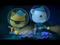 ​@Octonauts - 🐳 World Whale Day 🐋 | Compilation | @OctonautsandFriends