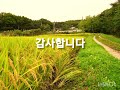 이사가던날/산이슬/동심으로가는 옛추억...