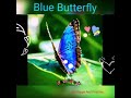 Blue Butterfly Spiritual Meaning In Hindi | #bluebutterfly #brownbutterfly @BeHappyAndPositive04