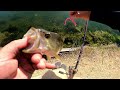 Wisconsin Bass Fishing 2024 Summer Fishing