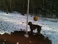 Athena tetherball in the snow