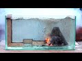 Epic Underwater Match Volcano ERUPTION! Chain Reaction 🔥