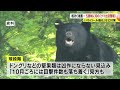 クマによる人身被害相次ぐ　1日に3人襲われる被害も…県内初「出没警報」　人里に近づけない対策強化　専門家「9月下旬から10月には収まるか」