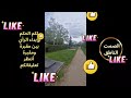 رحلة الحياة التي تمضي في صمت