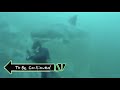 Shark To Be Continued Meme