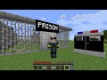 Why Did FBI JJ Arrest Military Mikey in Minecraft? (Maizen)