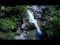 Mountains Forest Melody, Fall Sound & Bird Sound | Music healing heart & soul - Music of Heaven #6