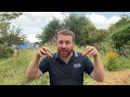 When To Cut & HOW To Manage The WILDFLOWER MEADOW In YOUR GARDEN