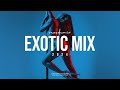 reozdemir - Exotic Mix 2024 II (Exotic, Fusion & Pole Dance Sound, Ethnic Techno Continuous Mix)