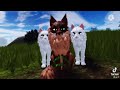 Warrior cats: ultimate edition! Tiktok comp  (desc)