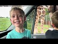 Teddy & Fox: Giraffe Part 2