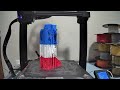 Red white and blue eagle Timelapse