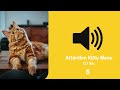 Cat Meow Sound Effects