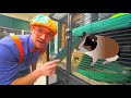Blippi Aprende Sobre Animales para Niños en el Refugio de Animales | Moonbug Kids Parque de Juegos