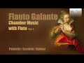 Chamber Music with Flute, Volume 2