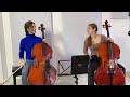 Beethoven Cello Duet - Rage Over a Lost Penny