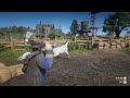 RDR2 - Hunting zebras in a farm