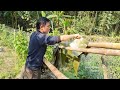 Robert makes cake to celebrate Christmas. Green forest life ( ep250)