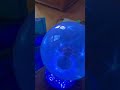 Testing High Voltage Pinball Machine Plasma Displays with a Plasma Ball