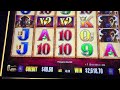 BUFFALO GOLD 15 HEADS JACKPOT HANDPAY @ GRATON CASINO