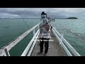 Ajing fishing in Auckland city