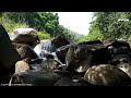 RELAXING MORNING MUSIC - Positive Energy & Therapy Stress Relief - Music For Meditation, Wake Up