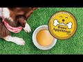 How To Make Bone Broth For Dogs (Step-By-Step Guide)