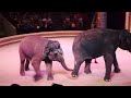 Цирковое Шоу! Слоны, Лошади, Обезьяны! /  Elephants perform in the circus