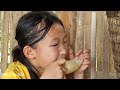 Harvest corn process it & take it to the market to sell - Taking care of livestock | Triệu Thị Dất,