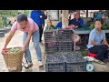 15 days: Go up the hill to pick lemons and bring them to the market to sell