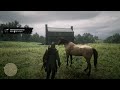 How To Get Free Missouri Fox Trotter Horse With Location - RDR2