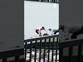 Man dives into Hudson River to save dog struggling off Hoboken, New Jersey