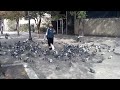 Mom with Pigeons