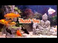 Wonderful Creatures | gene Art#shortvideo #aquariumfish#goldfish