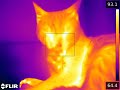 Licking My Arm With A $40,000 Thermal Camera