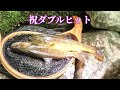 [Tenkara fishing] In search of giant char