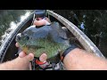 Fishing for Huge Panfish