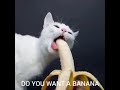 nanner man