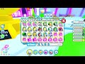 New Year Countdown | Pet Simulator X