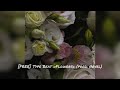 [FREE] Type Beat «Flowers» (prod. Novel)