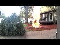 INSANE Christmas Tree burn!