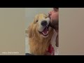 When your love for your dog is unconditional 😄 Funny Dog and Human Video 2024