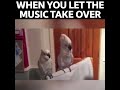 When the music takes over