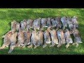 Rabbit control with the 17HMR & Pard NV007