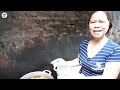 Stew fish in Hanoi old quarter | New finding make Hanoi people love cuisine more